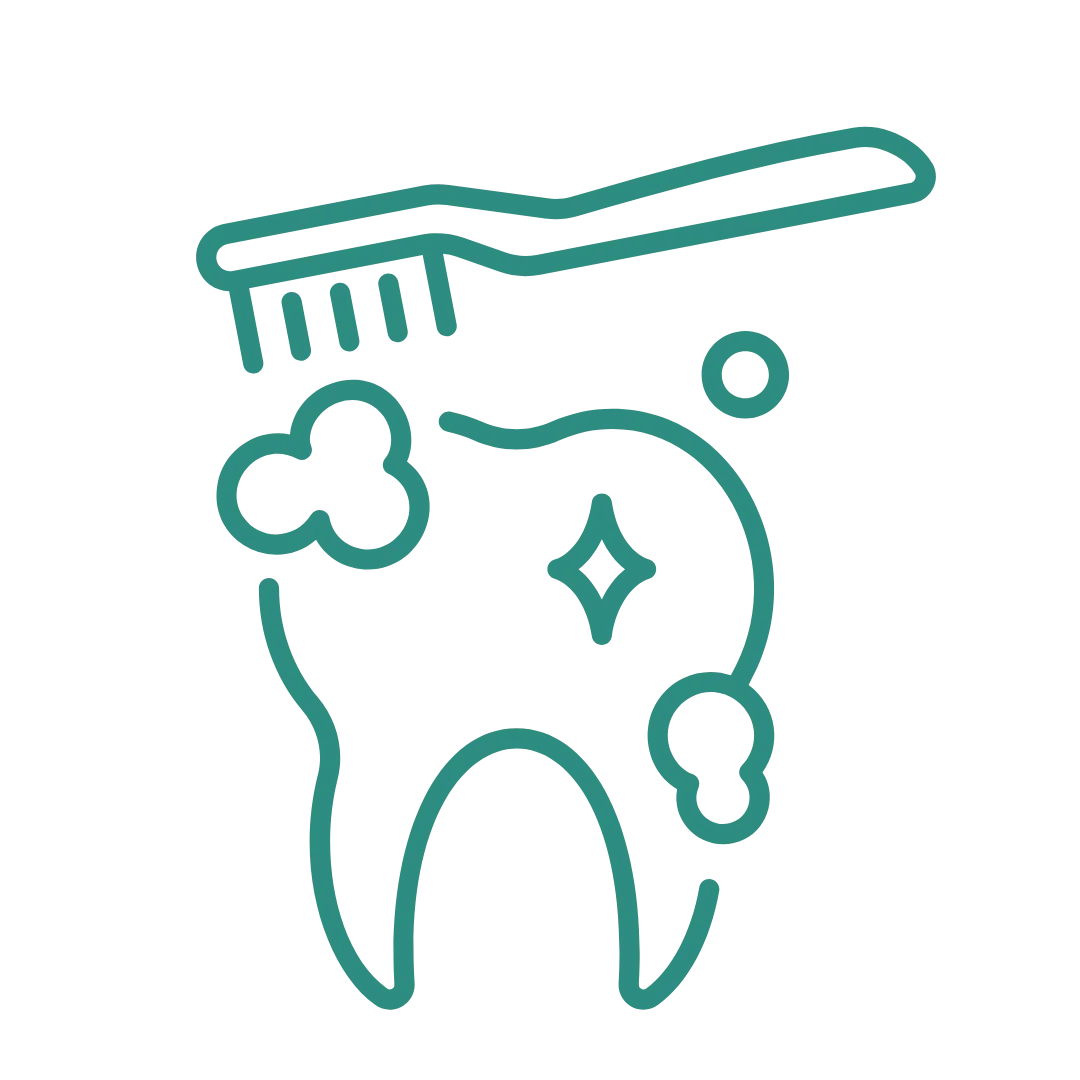 Dental Cleanings